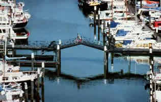 Brücke
